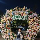 행금도 Daum카페