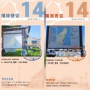 해파랑길14코스(구룡포항~호미곶) 2025년8월23일 이미지