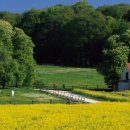 신우목장 이미지