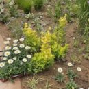 아름어린이공원 이미지