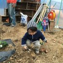 인동농장 이미지