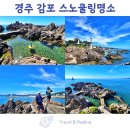 등대목욕탕 | [공지] 경주 가볼만한곳 감포 송대말등대 주차 스노쿨링 명소 해파리, 냄새, 화장실X