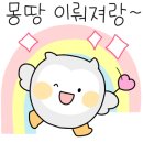 너의날 이미지