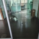 티앤스파펜션 이미지