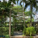 데이드림빌리버 이미지