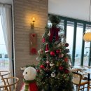 두산이네 애견샵 | 충북 단양 애견 동반 카페 뷰 좋은 전망대 도깨비 카페