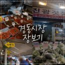 [청량리 경동시장] 물가 파괴 경동시장 장보기