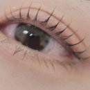 수진뷰티