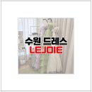 이명순 헤어라미 | 수원 르주아 드레스 대여 웨딩촬영 유색드레스 피팅 후기 내돈내산