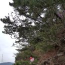 팔봉산 가든민박 네이버블로그