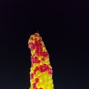 라비코리아 이미지