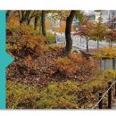 고래들공원 이미지