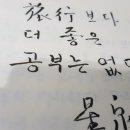 성천펜션 네이버블로그