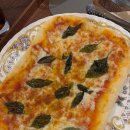 이태리 백반 이미지