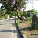 선흥(궁촌2리) 이미지