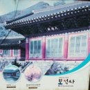 장수사과 - 목포시 하당로 189 | 장수사과