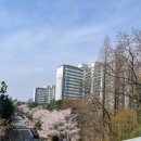 신갈역 4번출구 앞