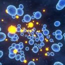 한국바이오기술원(주) 이미지