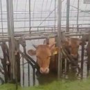 마을 첫집 이미지