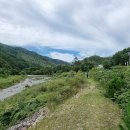 치악산둘레길 6코스 매봉산자락길 이미지