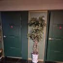 허브스토리 | 일하느라 뭉친 몸 풀러 다니는 서정리 허브스토리 솔직 후기 🙂