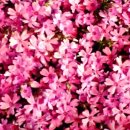 서산중앙병원 이미지