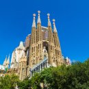 글로벌여행사 이미지