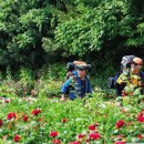 풀등민박 이미지