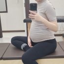 (주)꼬까신 | 임신 27주 일상 기록｜배크기 변화, 송도 베이비페어 후기