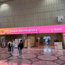 봄날;너와 | 시험관 임신 기록 : 5. 20~22주차 / 후쿠오카 태교여행과 봄날의 기록