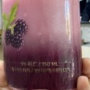 가나유통농업회사법인(주) | MZ 복분자 막걸리, 고려원 속리산 복분자 생막걸리 맛 본 후기