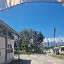 코스트밸리펜션 | 학암포 해수욕장 물회 맛집! - 지중해회수산