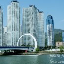 수영교 이미지