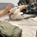 라엘코리아 이미지