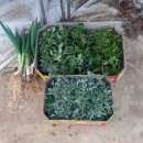 가사농장 이미지