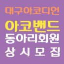 대구 아코디언 동아리 &#39;아코밴드&#39; 회원 모집합니다 이미지