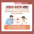 ‘감염성 홍반’ 안내 이미지