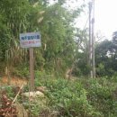 혜주농장 이미지