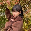 베리헤어 이미지