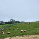 해오름 목장 이미지