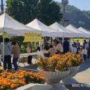 책갈피작은도서관 이미지