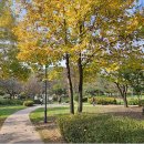 원적산공원 이미지