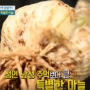 코끼리쥬스