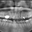 본정치과의원 이미지