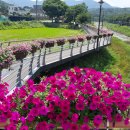 금산천 데크길 이미지