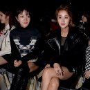 미모 이미지