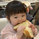 주식회사 도은