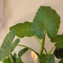 동탄 나루상가 이미지