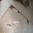 탄중로101번길 | 일산 동양라파크 욕실 바닥타일 들뜸 수리 후기