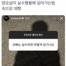 진애